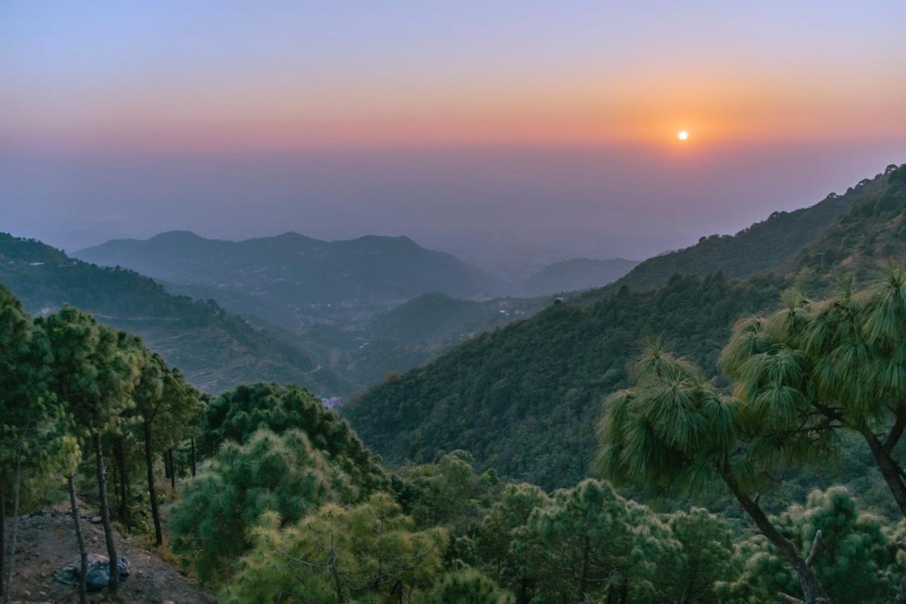 Panormic View By The North Edge Apartment Kasauli Bagian luar foto
